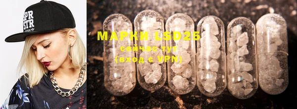 индика Красноперекопск